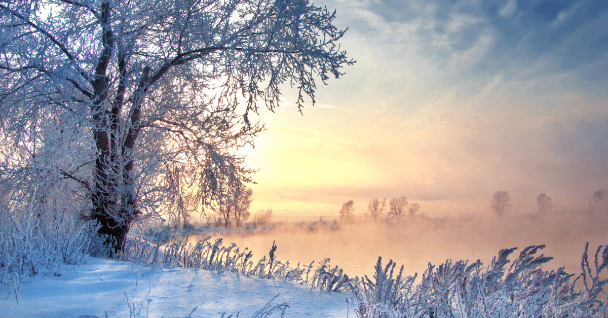 Winterlandschaft bei Sonnenaufgang mit raureifbedeckten Bäumen an einem nebligen Fluss